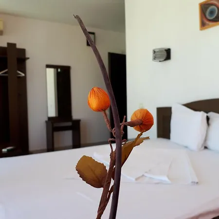 Vila Gema Guest house 3*